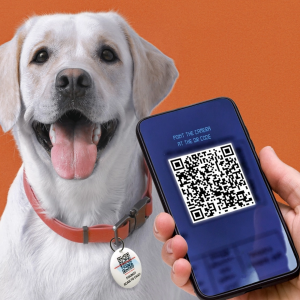 PetFind to find your dog